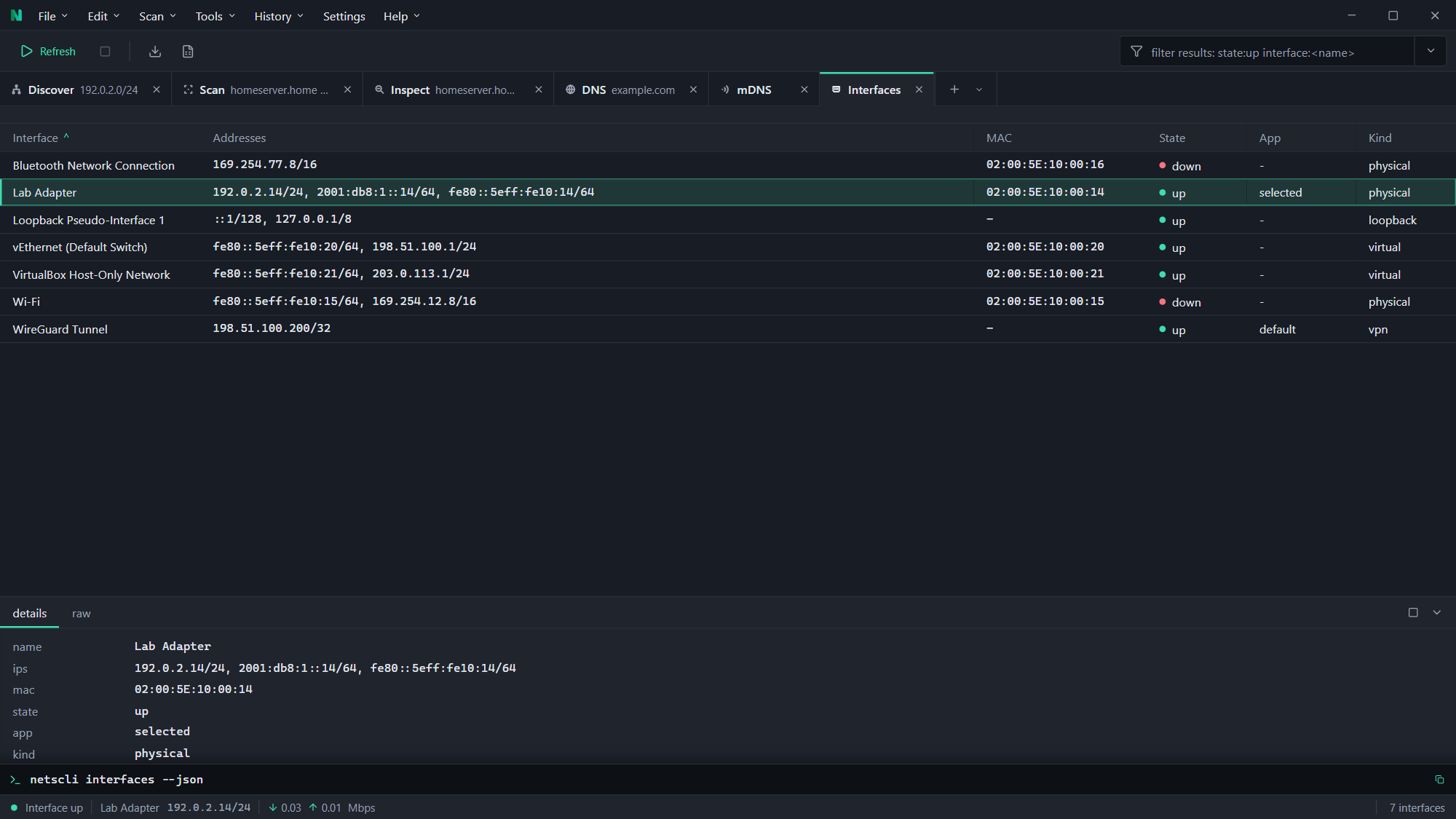 The interfaces view in NetsCLI Desktop, each row showing state, MAC address and assigned addresses